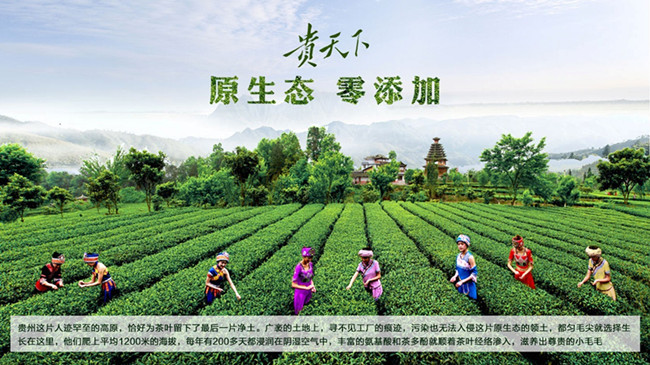 貴天下領袖級好茶，獻給生命中每一位貴人