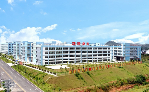 廣東正源華茶生物工程有限公司