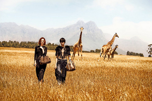 路易威登最新箱包廣告曝光