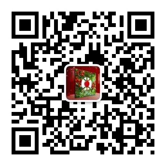 投資紅豆杉，你是哪類人？