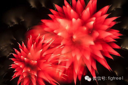 我就是我，是顏色不一樣的煙火！