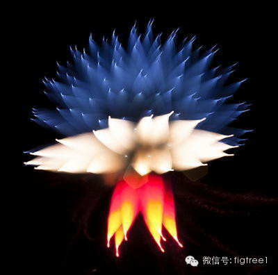 我就是我，是顏色不一樣的煙火！