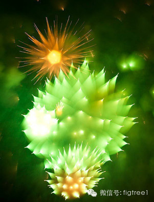 我就是我，是顏色不一樣的煙火！