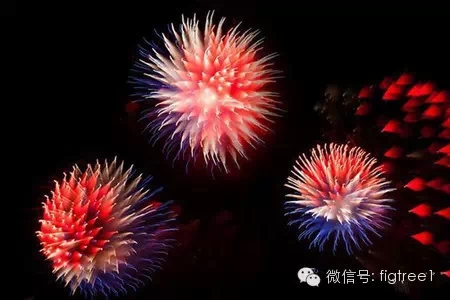 我就是我，是顏色不一樣的煙火！