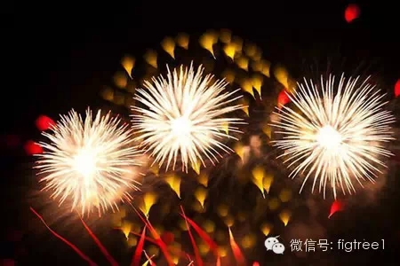 我就是我，是顏色不一樣的煙火！