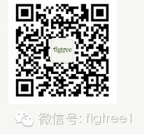 我就是我，是顏色不一樣的煙火！