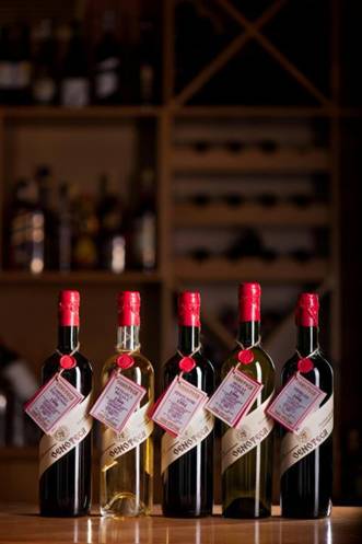 Best wine 5月8日開幕，亮點搶先看