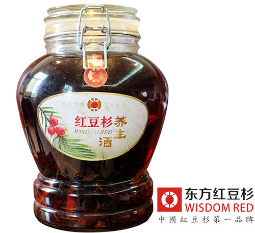 紅豆杉的養(yǎng)殖方法及注意事項(xiàng)